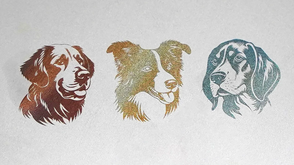 Color and 3D engraving made by Promark MOPA