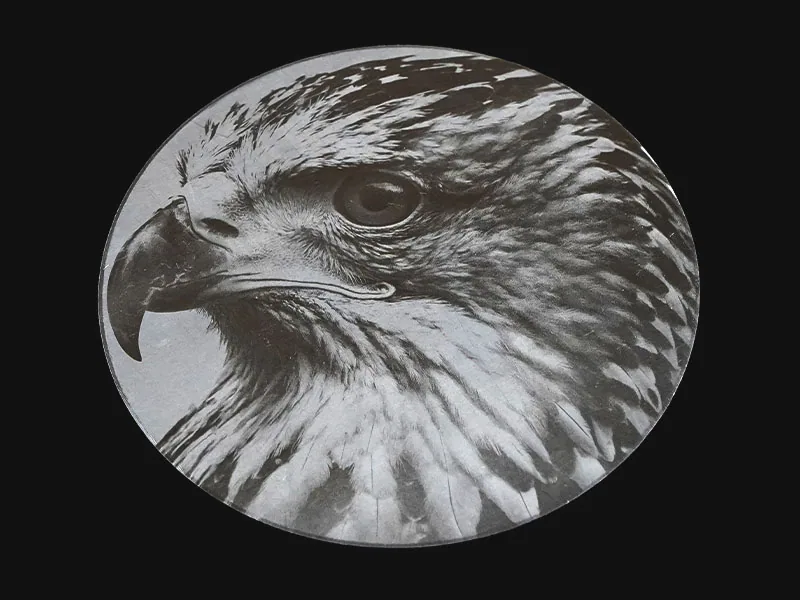 Color engraving on stainless steel by Promark MOPA