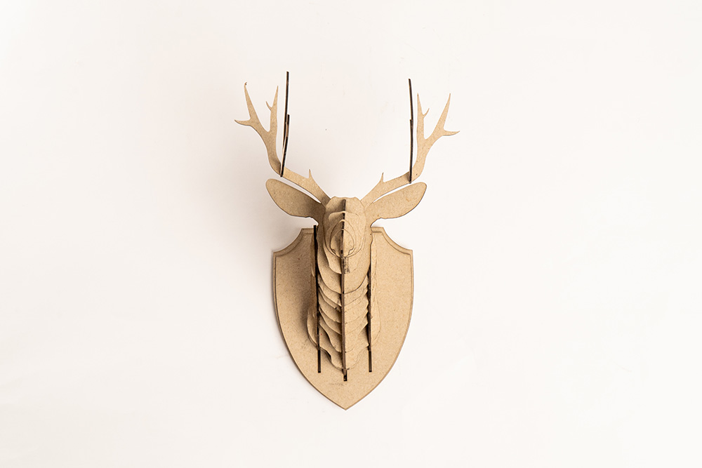 HEXA laser-cut project 8